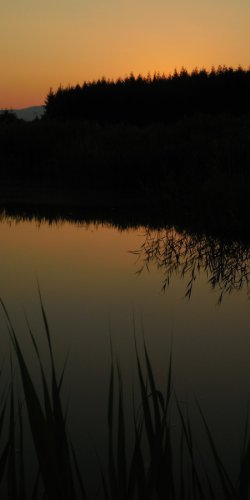 Krasny podvecer nad jezirkem v Suche 